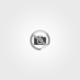 Test Test